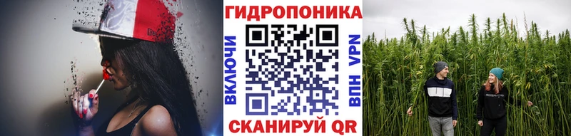 Как найти наркотики Петрозаводск COCAIN  Alpha-PVP  МЕФ  ГАШИШ  Бошки Шишки 