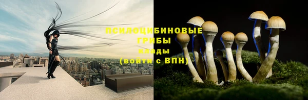 винт Володарск